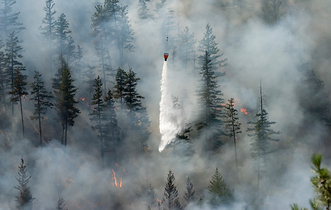 Technology could be key to future wildfire prevention, fighting: companies